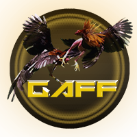 AOG Gaff Cockfight